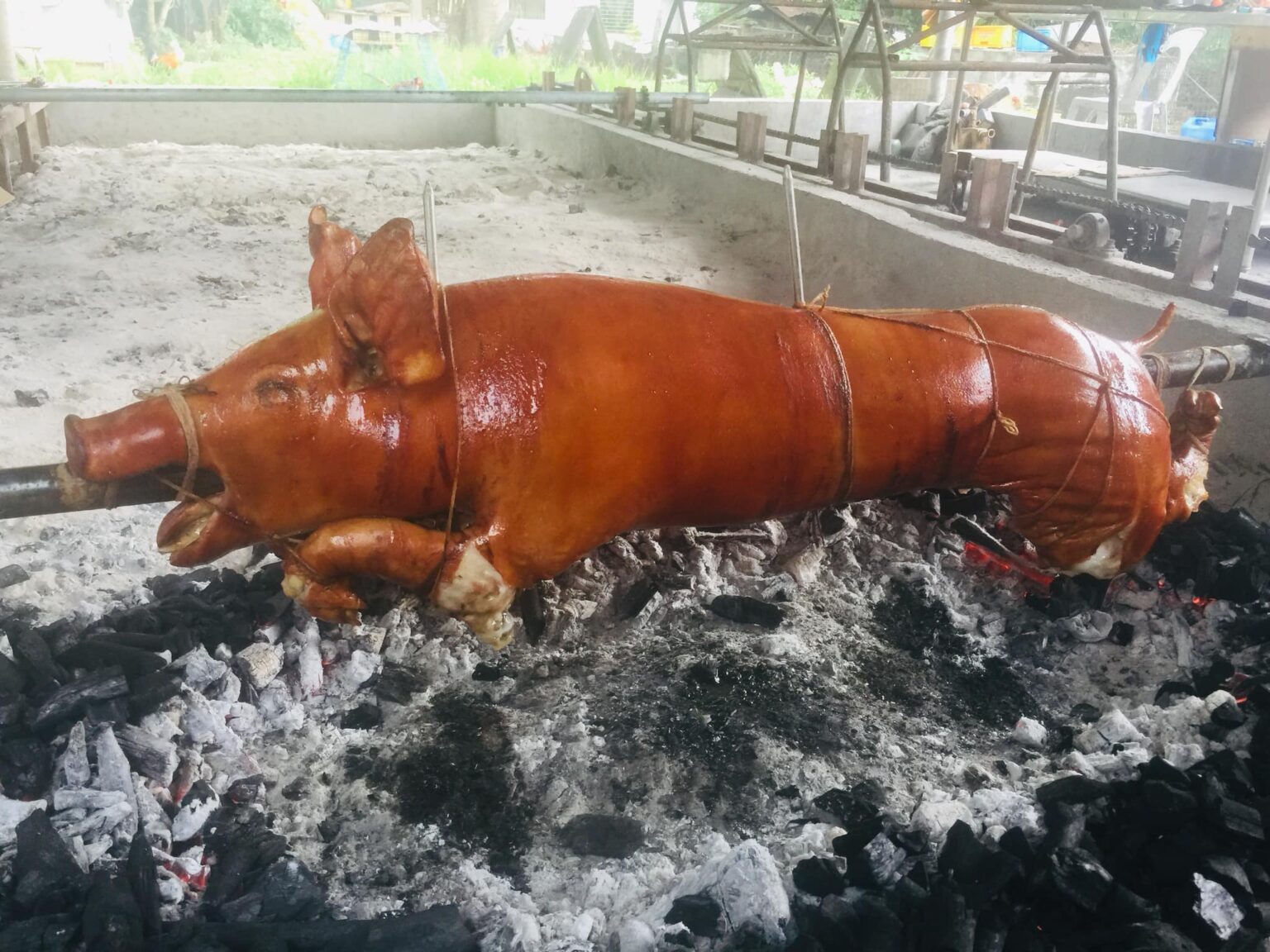 Classic Lechon 41 45 Kilos Casa Bicolnon Lechon